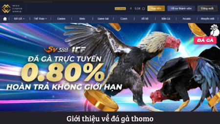 Đá gà Thomo – Trang Web Cá Cược Hàng Đầu Tại Việt Nam